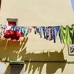 بيت شباب Poets