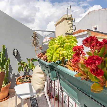 Хостел Poets *